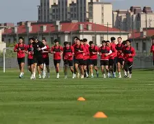 弗赖堡力争主场三分,冲击欧洲赛区 弗赖堡力争主场三分,冲击欧洲赛区